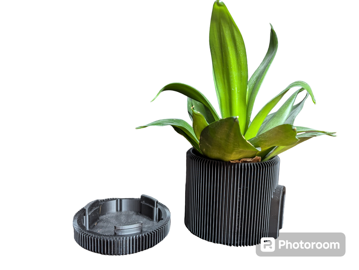 Pot de fleur suspendu Design #1