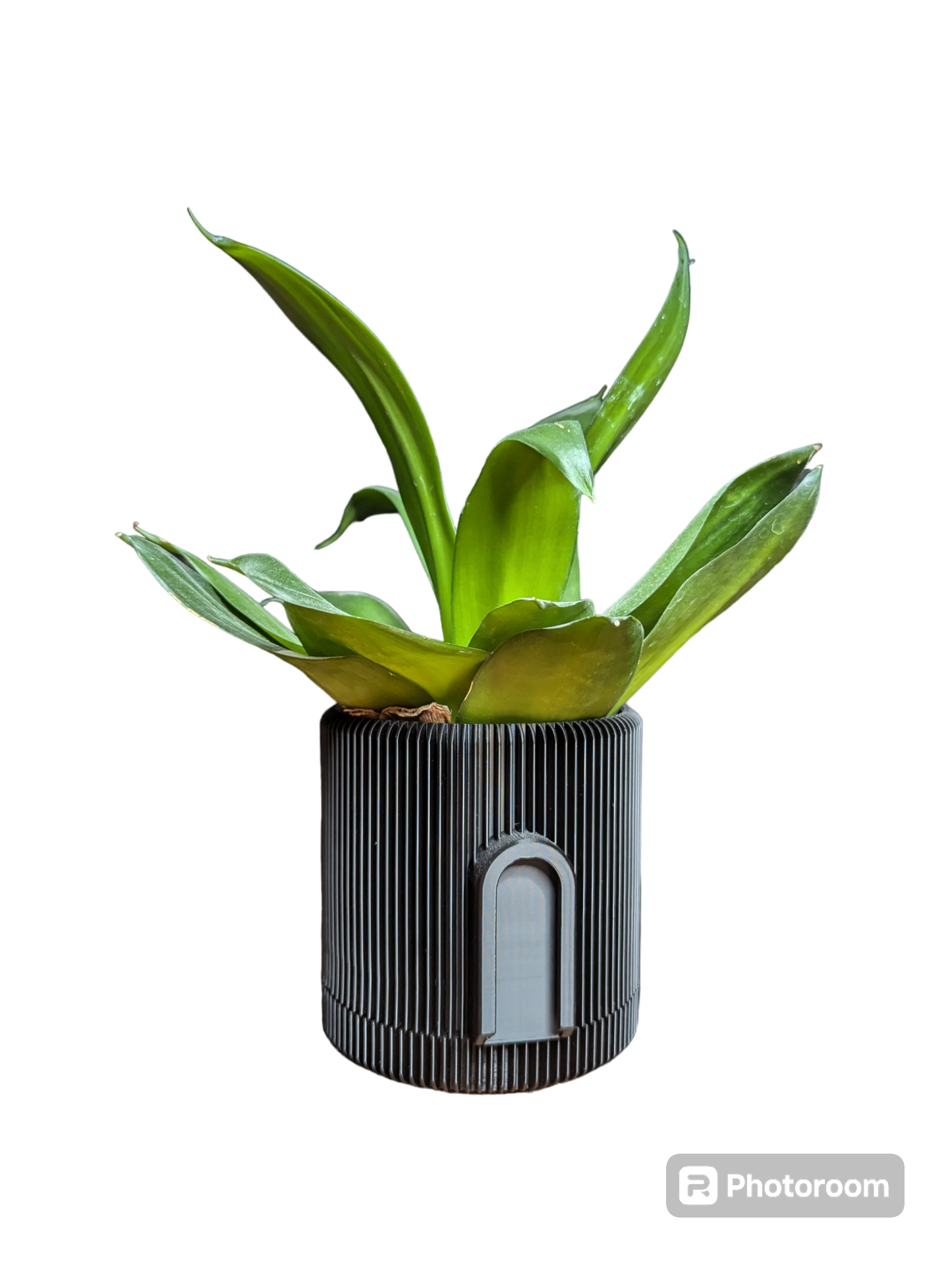 Pot de fleur suspendu Design #1