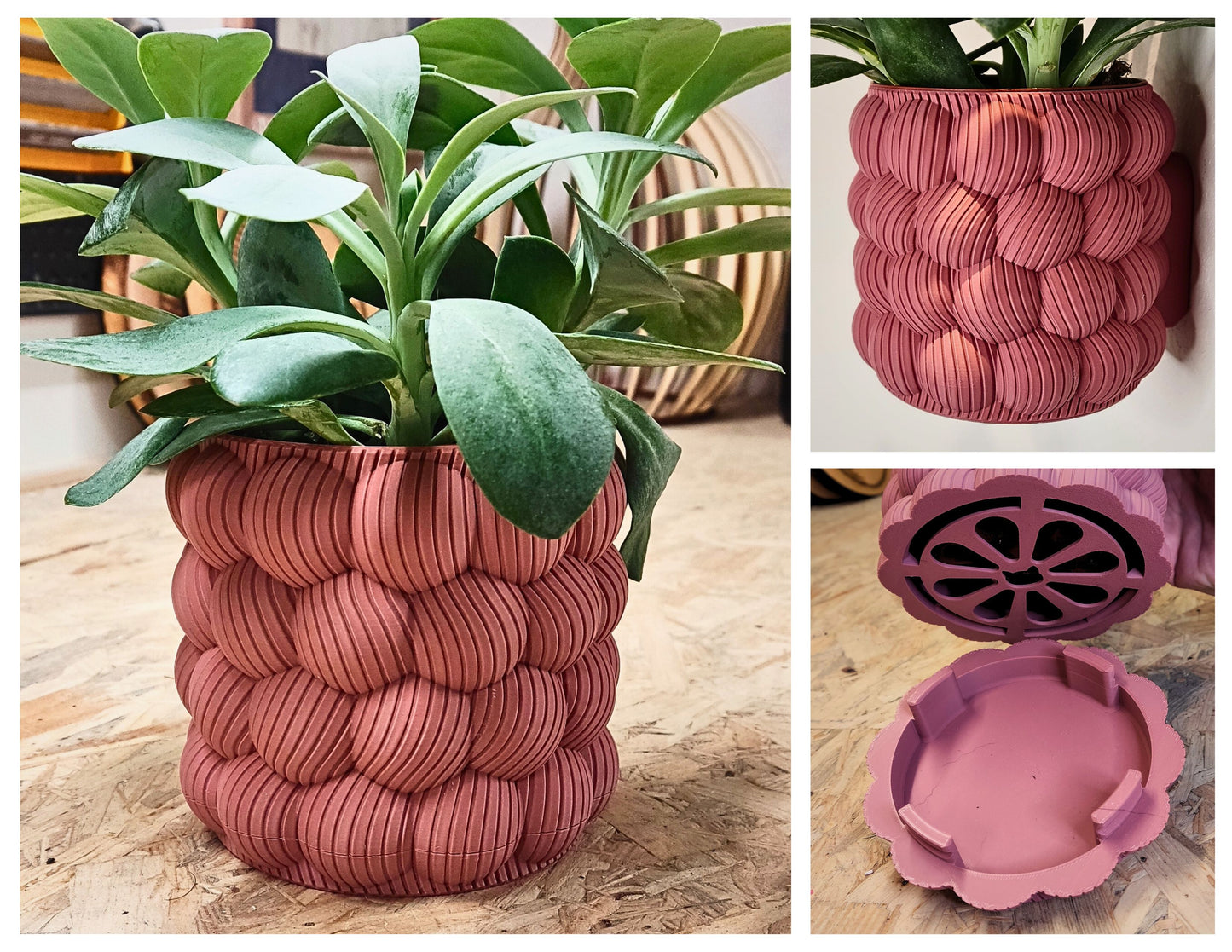 Pot de fleur suspendu Design Bulbe