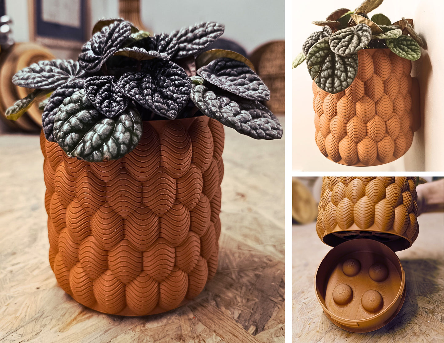 Pot de fleur suspendu Design #9