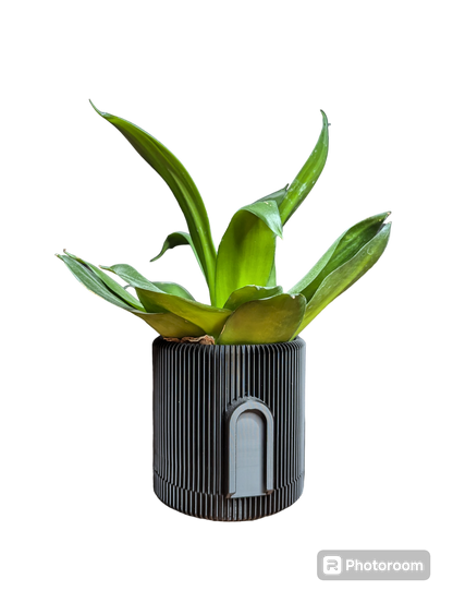 Pot de fleur suspendu Design #1